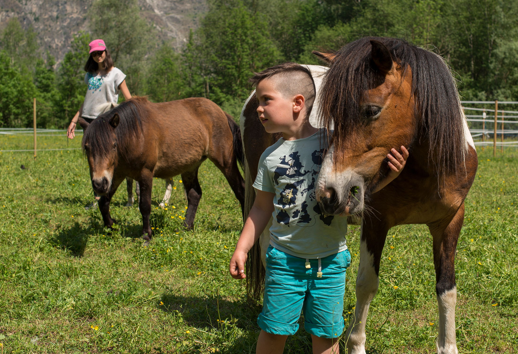 groupe enfant mediation equine