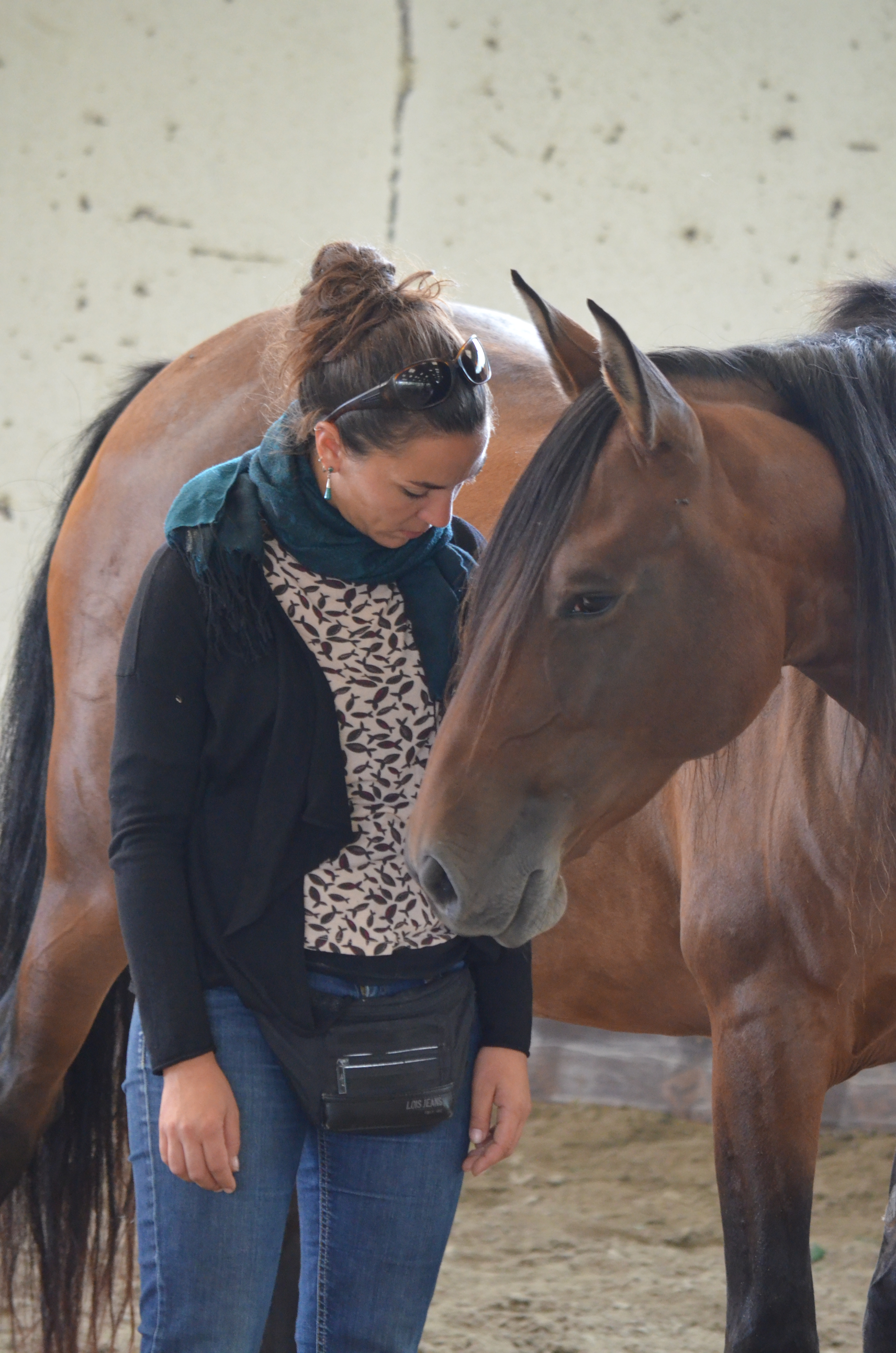 equitation adulte